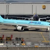 Korean Air dự kiến kinh doanh có lãi nhờ hoạt động logistics 