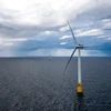 Bỉ sẽ xây dựng đảo năng lượng đa chức năng ở Biển Bắc