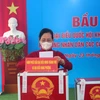 Bí thư Tỉnh ủy Hà Nam Lê Thị Thủy bỏ lá phiếu đầu tiên tại đơn vị bầu cử số 1 phường Quang Trung, thành phố Phủ Lý. (Ảnh: Đại Nghĩa/TTXVN)