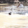 Đắk Lắk: 2 thiếu niên tử vong do đuối nước tại hồ đập Ea Blông