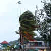 Thanh Hóa chủ động ứng phó áp thấp nhiệt đới có thể mạnh lên thành bão