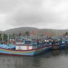 Bão số 2: Nam Định cấm biển, kêu gọi tàu thuyền vào nơi an toàn