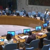 Một cuộc họp của Hội đồng Bảo an Liên hợp quốc bàn về tình hình ở Sudan. (Ảnh: Hữu Thanh/TTXVN)