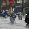 Mưa lớn gây ngập tại tổ 19 phường Tiền Phong, thành phố Thái Bình. (Ảnh: Thế Duyệt/TTXVN)