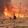 Italy: Vùng Sicily ban bố tình trạng khẩn cấp do cháy rừng