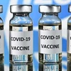 Tiêm kết hợp vaccine Covishield và Covaxin mang lại hiệu quả cao