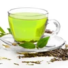 Tác dụng hữu ích của trà xanh đối với bệnh giảm sút trí tuệ