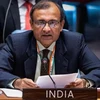 Ấn Độ đảm bảo mối quan tâm của tất cả ủy viên Hội đồng Bảo an LHQ