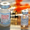 EU phê chuẩn thêm các cơ sở sản xuất vaccine của Pfizer và Moderna