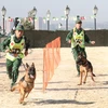 Trao đổi kinh nghiệm với Algeria về huấn luyện chó nghiệp vụ