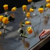 Vấn đề chống khủng bố: Bài học lịch sử từ Bảo tàng Tribute 11/9