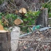 Siết chặt quản lý, bảo vệ rừng và trật tự xây dựng trên đảo Phú Quốc