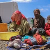 Tổ chức phi chính phủ ở Yemen giành giải Nansen vì người tị nạn