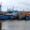 Quảng Ngãi kêu gọi tàu thuyền vào nơi trú ẩn, chủ động ứng phó mưa bão