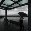 Dự báo bão Kompasu gây gió mạnh và mưa lớn ở phía Nam Trung Quốc