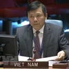 Việt Nam kêu gọi tôn trọng nguyên tắc giải quyết hòa bình tranh chấp