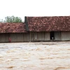 Đắk Lắk: Mưa lớn gây ngập lụt cục bộ tại huyện biên giới Ea Súp