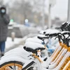 Bão tuyết hoành hành gây gián đoạn giao thông tại Trung Quốc 