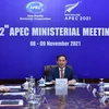 Bộ trưởng Ngoại giao Bùi Thanh Sơn dự trực tuyến Hội nghị liên Bộ trưởng Ngoại giao-Kinh tế APEC lần thứ 32. (Ảnh: Lâm Khánh/TTXVN)