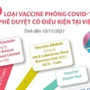 9 loại vaccine phòng COVID-19 được phê duyệt có điều kiện tại Việt Nam