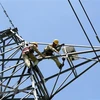 Quy chế hoạt động của Ban Chỉ đạo Quốc gia về phát triển điện lực