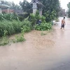 Quảng Ngãi: Mưa lớn trên diện rộng, nhiều xã ngập trong nước lũ