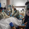 Điều trị cho bệnh nhân nhiễm COVID-19 tại bệnh viện ở Tarzana, California, Mỹ. (Ảnh: AFP/TTXVN)