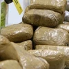 Hải quan Benin bắt giữ gần 2 tấn ma túy trên biên giới với Togo