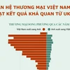 Quan hệ thương mại Việt Nam-Anh đạt kết quả khả quan từ UKVFTA