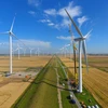 Chính phủ Đức đẩy mạnh sản xuất điện gió đạt tiêu chuẩn sinh thái