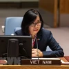 Việt Nam ủng hộ giải trừ quân bị, không phổ biến vũ khí hạt nhân