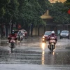 Đông Bắc Bộ và thủ đô Hà Nội trời lạnh, khu vực Nam Bộ có mưa rào