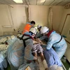 Khánh Hòa: Kịp thời đưa thuyền viên tàu nước ngoài vào bờ cấp cứu