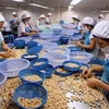 Câu chuyện xuất khẩu và bài học cho doanh nghiệp Việt Nam
