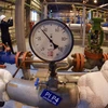 EC cho phép các doanh nghiệp mua khí đốt của Nga bằng đồng ruble