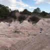 Mexico: Phát hiện hóa thạch nhím có niên đại 30 triệu năm