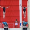 [Photo] Chính thức khởi tranh môn nhảy cầu tại SEA Games 31