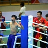 Việt Nam nhất toàn đoàn môn Kickboxing với 5 huy chương Vàng. (Ảnh: Phạm Tuấn Anh/TTXVN)