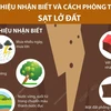 [Infographics] Dấu hiệu nhận biết và cách phòng tránh sạt lở đất