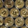 Bitcoin chạm đáy của 18 tháng khi nhà đầu tư rời xa các tài sản rủi ro