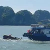 Va chạm tàu trên vịnh Lan Hạ: Bảo đảm chữa trị tốt nhất với nạn nhân