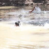 Đắk Lắk: Xảy ra hai vụ tai nạn đuối nước, ba cháu bé tử vong