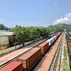 Vận tải hàng hóa đường sắt Việt Nam-Nga bước sang trang mới 