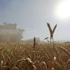 Công ty Bayer tiếp tục cung cấp sản phẩm nông nghiệp đầu vào cho Nga