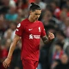 Nunez lĩnh thẻ đỏ, khiến Liverpool phải thi đấu thiếu người. (Nguồn: Getty Images)