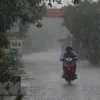 Khu vực Tây Bắc và Việt Bắc có mưa rào và dông rải rác