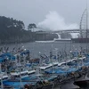 Nhật Bản và Hàn Quốc sẵn sàng ứng phó với siêu bão Nanmadol