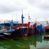 Quảng Bình: Hơn 6.000 tàu cá đã vào nơi tránh trú an toàn