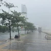 Gió giật mạnh liên hồi kèm theo mưa lớn khu vực ven biển Mỹ Khê, Đà Nẵng. (Ảnh: Văn Dũng/TTXVN)