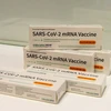 Indonesia cấp phép vaccine mRNA ngừa COVID-19 của Trung Quốc